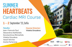 Summer Heartbeats Cardiac MRI Course